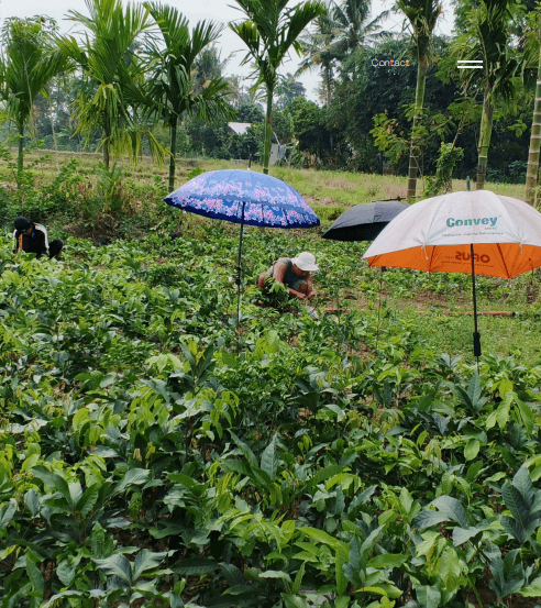 Kegiatan CV. Lintas Batas Agro