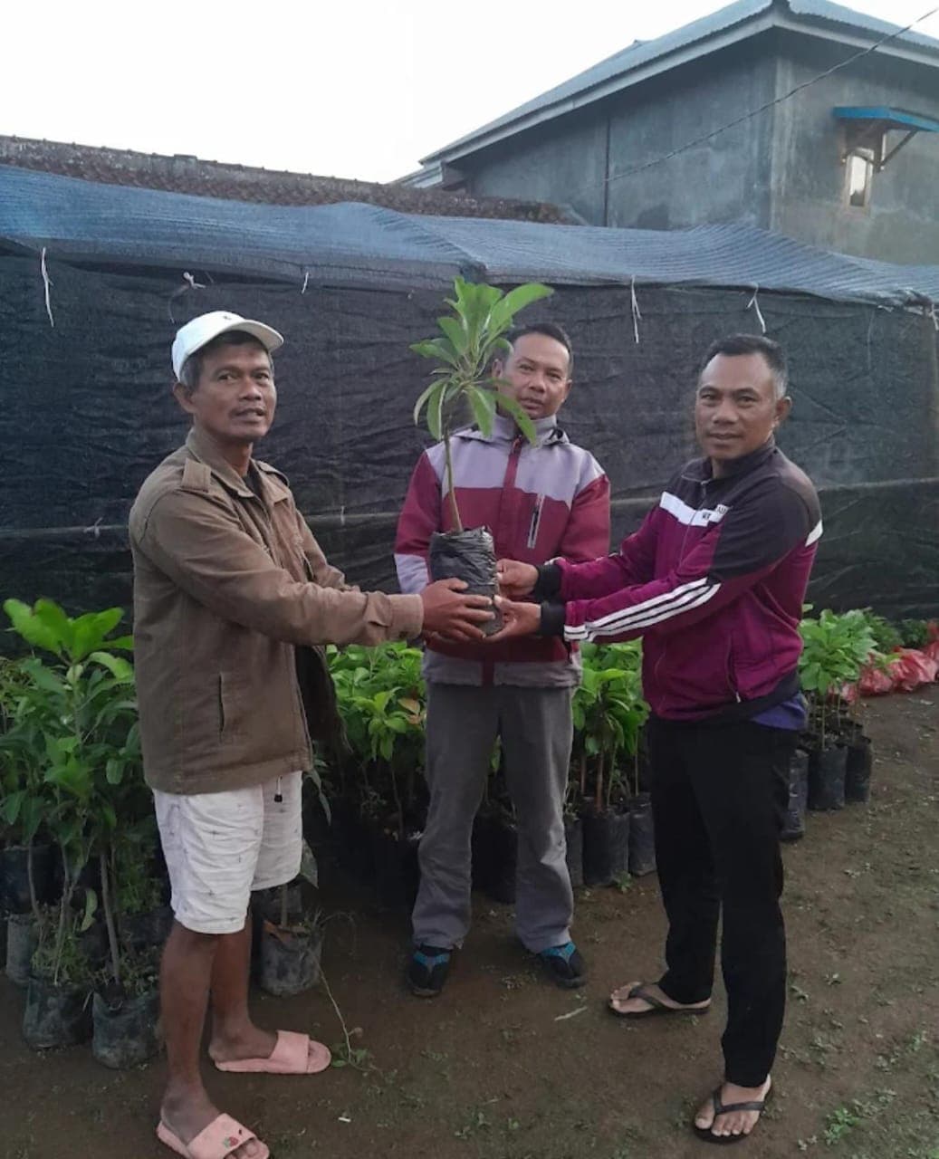 LDC INDONESIA